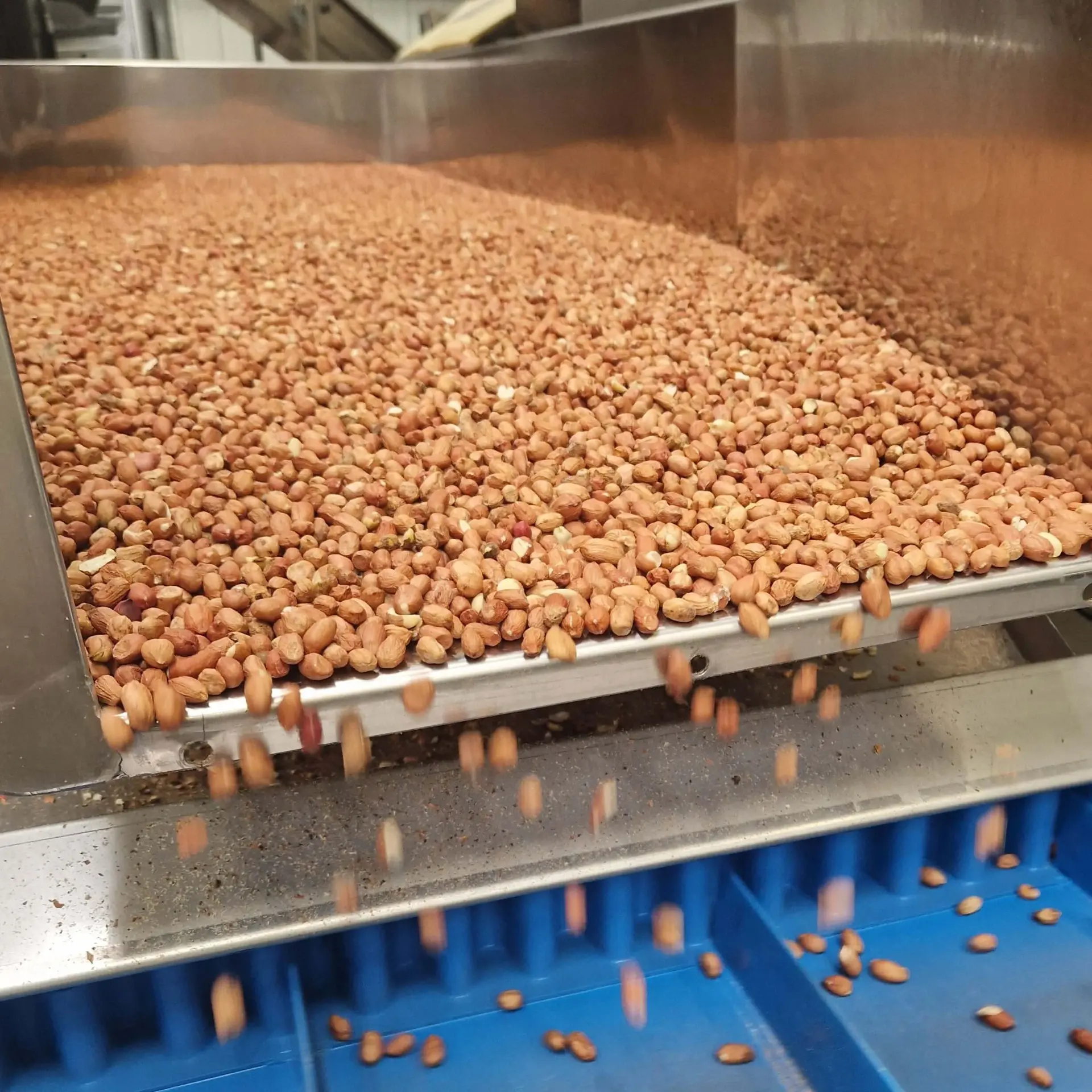 Cacahuètes de Gironde