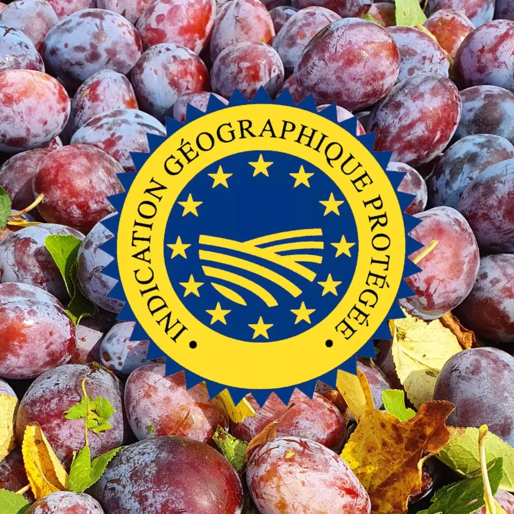 Pruneaux d'agen mi-cuits.webp