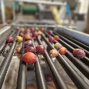 Tri de la prune d'ente avant enclayage.webp