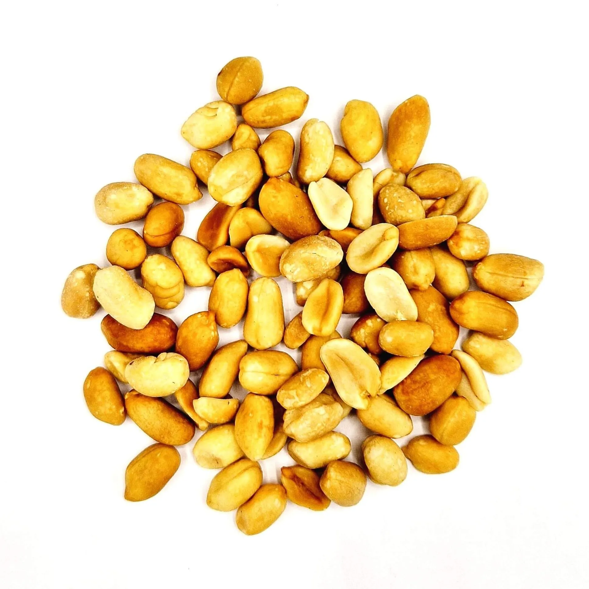 [JGF19] Cacahuètes de Gironde - Grillées Natures 500G