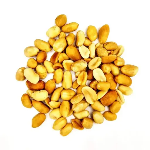 [JGF19] Cacahuètes de Gironde - Grillées Natures 500G